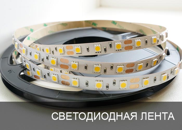 ������������ �����