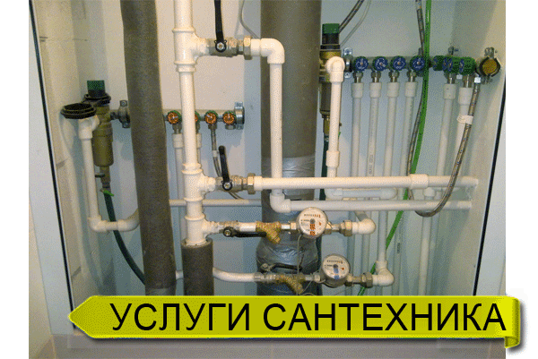 ������ ���������� � ��������